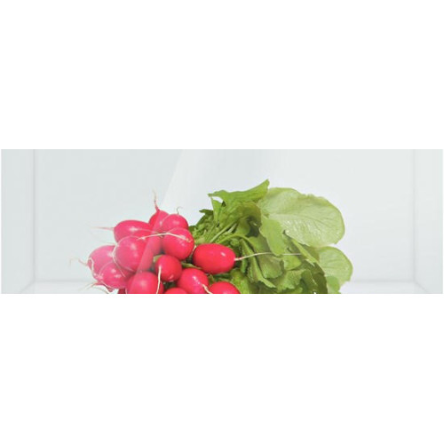 Двухкамерный холодильник Bosch KGE 39XW20 R