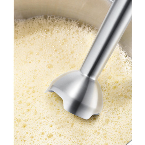 Блендер Bosch MSM 881X1