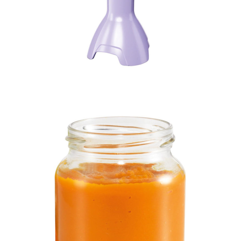 Блендер Bosch MSM 2413V